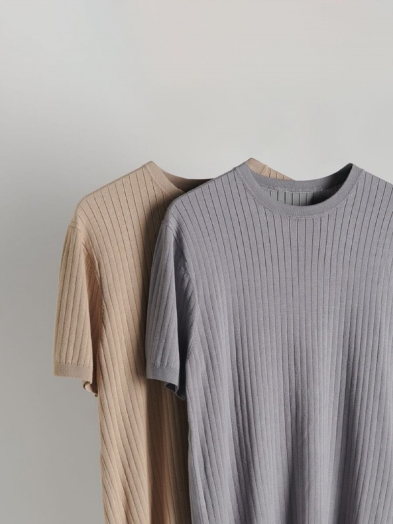 Beige Reserved Regular Fit Rib Knit Men's T-shirts | MGWL-67951