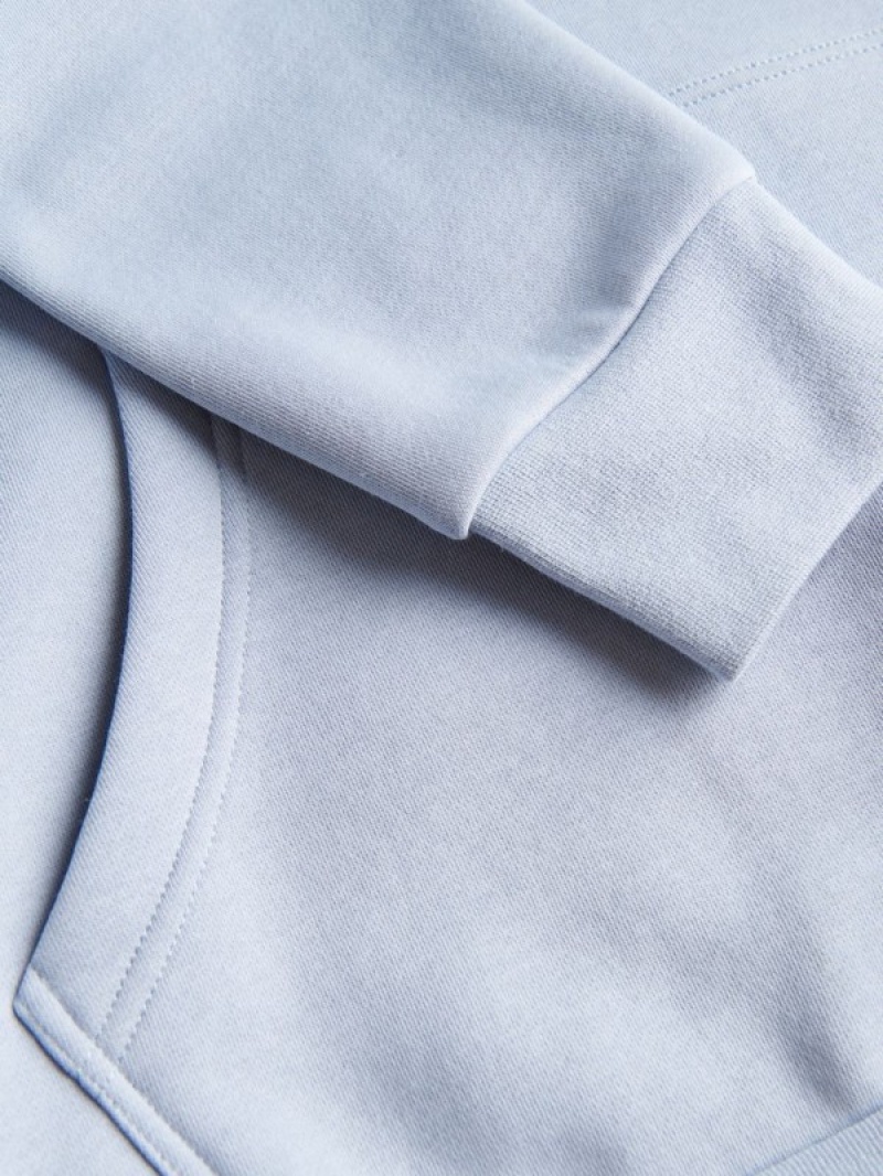 Blue Reserved Plain Men's Sweatshirts | WVZB-45013